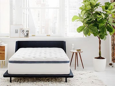 15 Best King Size Mattresses: Reviewed And Rated for 2022 14 WinkBeds Plus