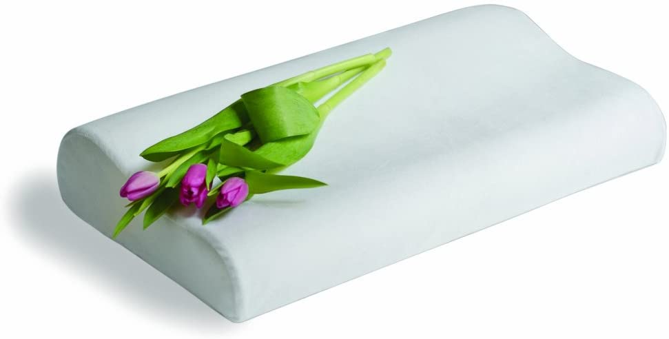 The 10 Best Orthopedic Pillows 6 511mM7ArpFL. AC SL1023