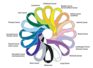 genetics of cancer