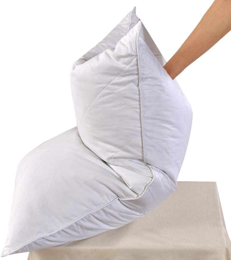 Best Feather Pillows - Reviewed & Rated (2022): Why You Should (Or Shouldn't?) Buy A Feather Pillow 4 51LEfmRtfXL. AC SL1000