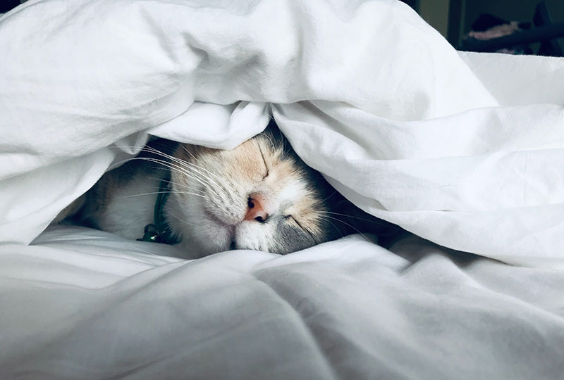 Our Top Tips & Product Picks for 2022's Best Cooling Blankets for Hot Sleepers 12 cooling blankets