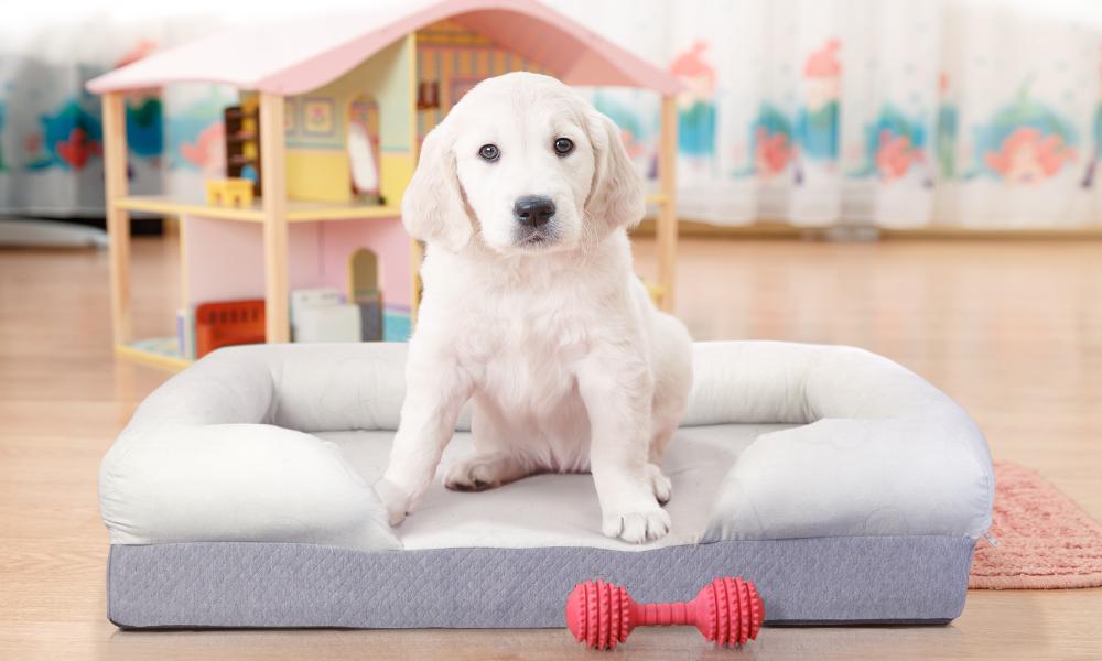The Best Pet Bed For Your Furry Friend: The Puffy Dog Bed (2022 Reviews) 2 puffybed